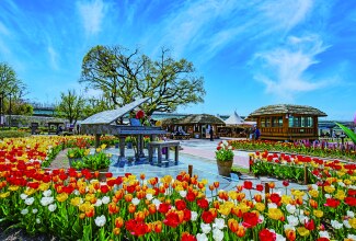 참꽃 투어 대표 이미지